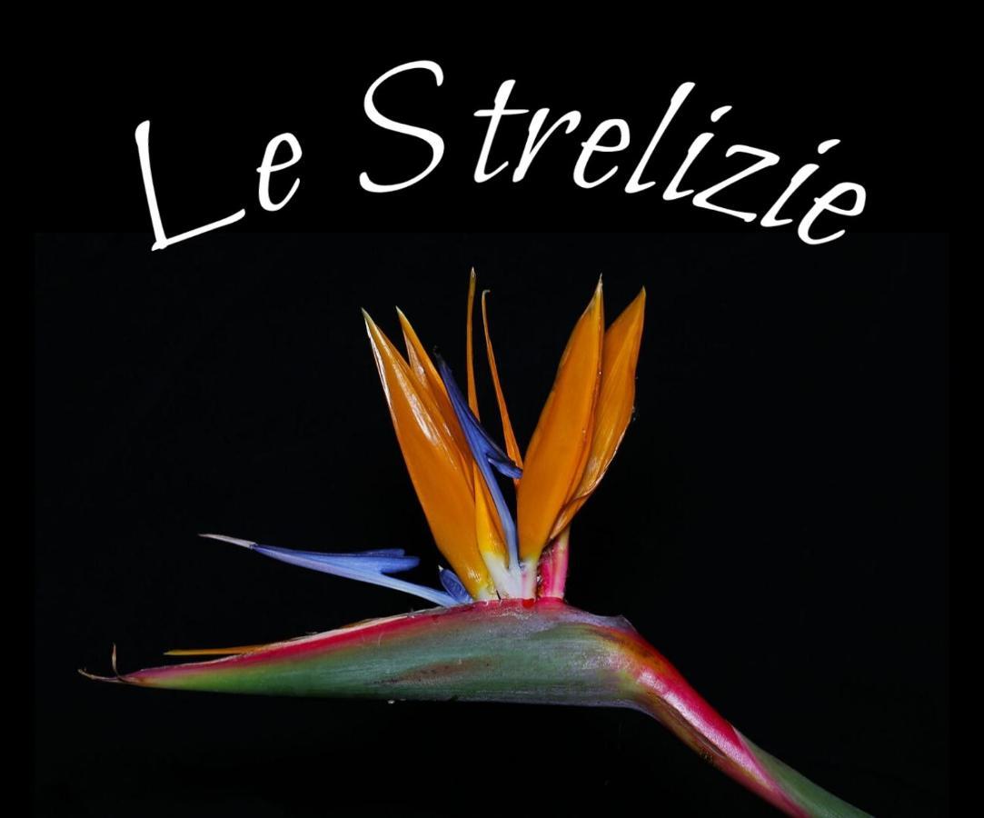 Le Strelizie Apartment Arnesano Ngoại thất bức ảnh