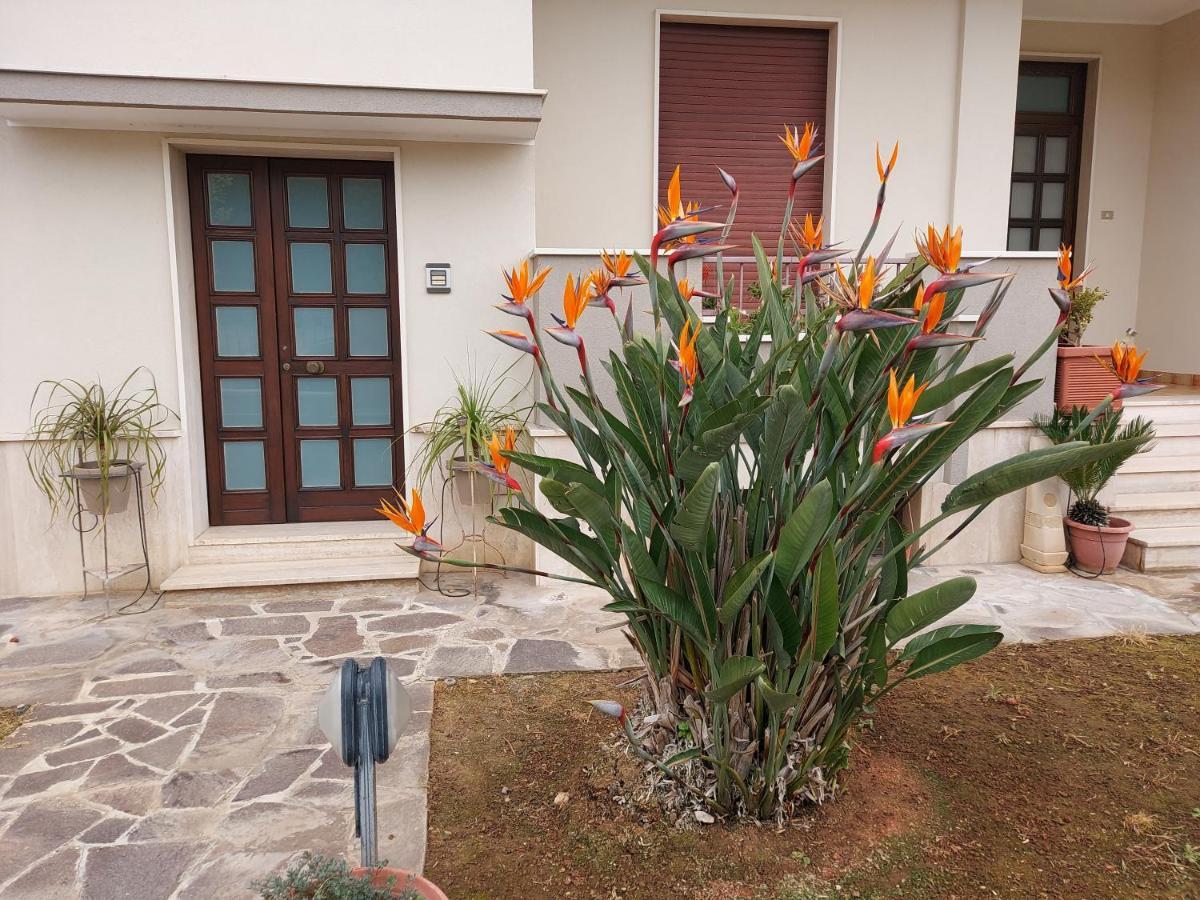 Le Strelizie Apartment Arnesano Ngoại thất bức ảnh